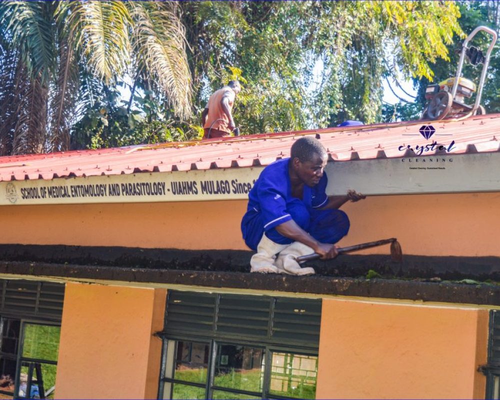 Roof-cleaning-image-1-min-1024x681
